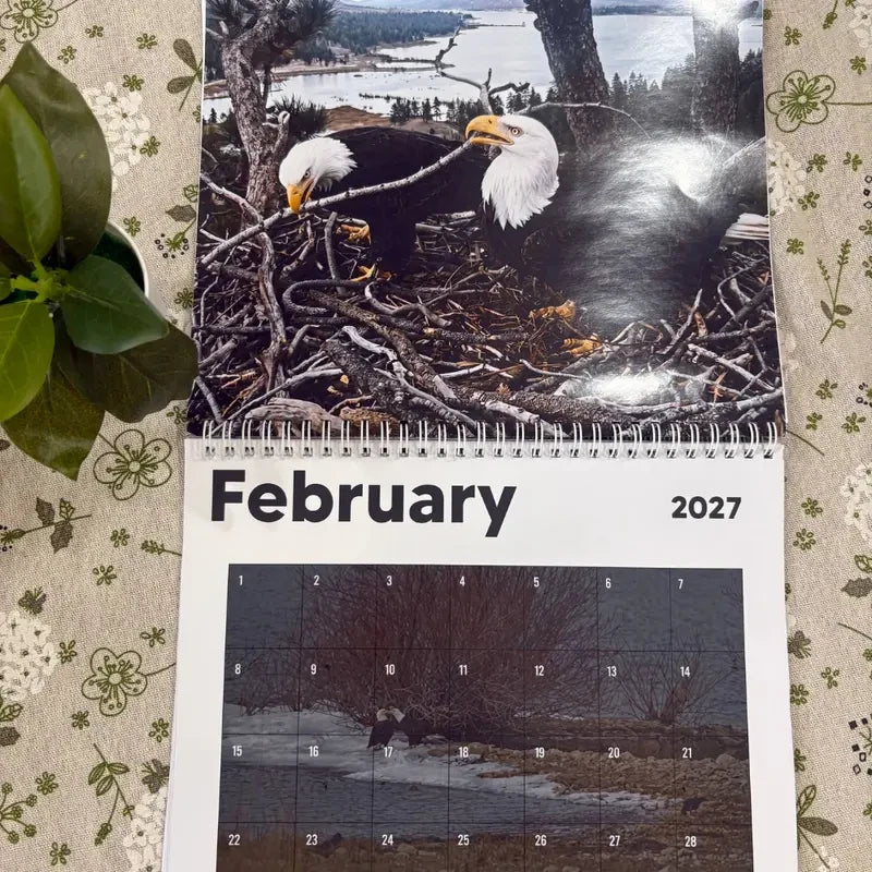 Jackie & Shadow Calendars, Love Story Jackie & Shadow Wall Calendars 2026-2027 #241