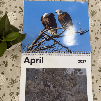 Jackie & Shadow Calendars, Love Story Jackie & Shadow Wall Calendars 2026-2027 #241