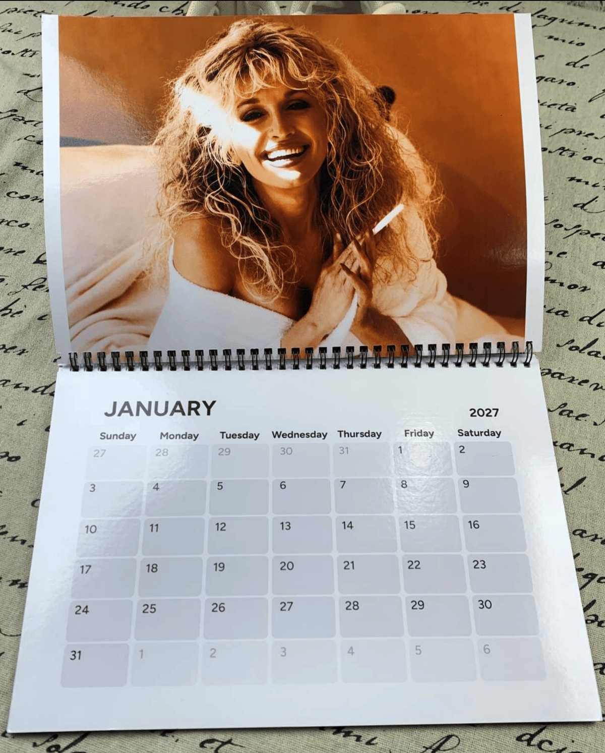 Dolly Parton 2026-2027 Wall Calendar, Have A Holly Dolly Calendar, Women Holiday, Gift For Fan Lover, Retro Parton 2026 Wall Calendar #232