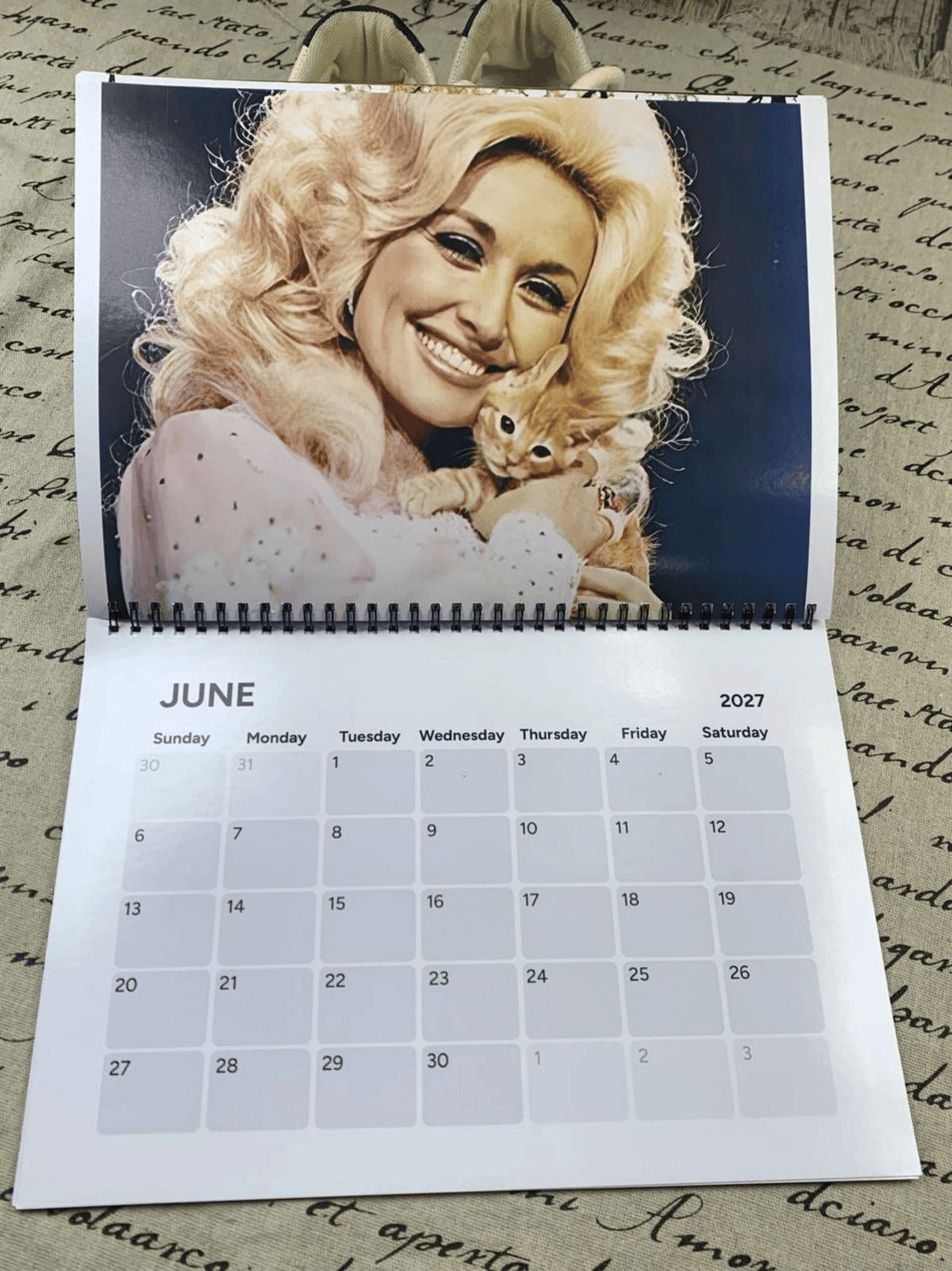Dolly Parton 2026-2027 Wall Calendar, Have A Holly Dolly Calendar, Women Holiday, Gift For Fan Lover, Retro Parton 2026 Wall Calendar #232