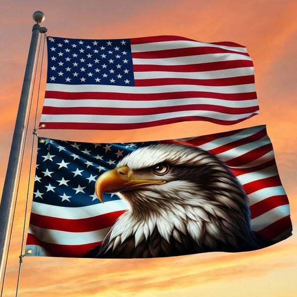 Flagwix American Flag, America 250th Anniversary Patriotic Eagle American Grommet Flag 3-Day Shipping